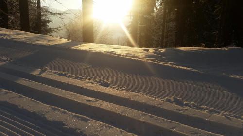 a snow covered staircase with the sun in the background at Penzion Alenka in Špindlerův Mlýn