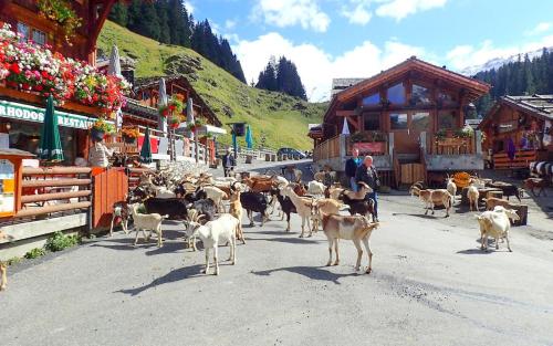 Φωτογραφία από το άλμπουμ του Les Grands Cerfs Amoureux σε Marignier