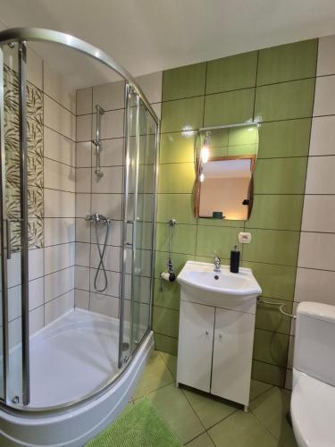 a bathroom with a shower and a sink at Noclegi u Agnieszki in Jarnołtówek