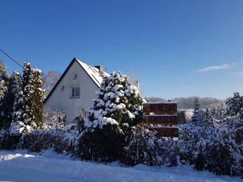 a small house in the snow with a tree at Noclegi u Agnieszki in Jarnołtówek