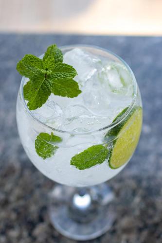 a glass of water with a lime and a mint leaf at Pousada Mirante das Estancias in Águas de Lindóia