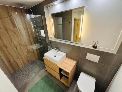 a bathroom with a sink and a toilet and a mirror at Haus Steiner #Mitten im Schwarzwald# in Lauterbach