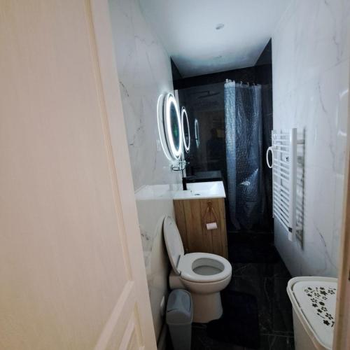 une petite salle de bain avec toilettes et lavabo dans l'établissement Logement Heliconia proche Paris et aéroport Charles de Gaulle, à Drancy