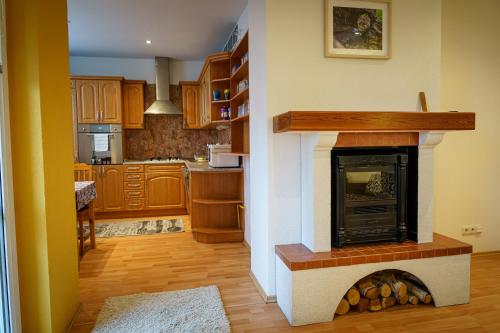 Spacious apartment with a fireplace in the city