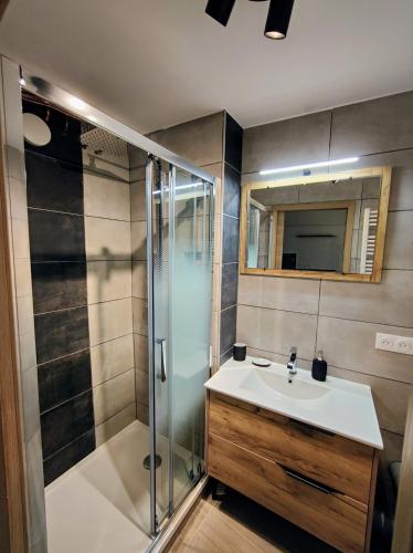 une salle de bain avec un lavabo et une douche dans l'établissement Studio cosy centre ville, à Besançon