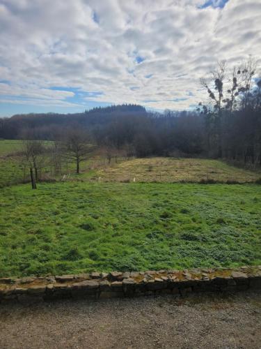 a field of grass with trees in the background at Gîte La nouette in Plémet