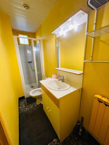 La salle de bains jaune est pourvue d'un lavabo et de toilettes. dans l'établissement F1 Tulipe, à La Bourboule