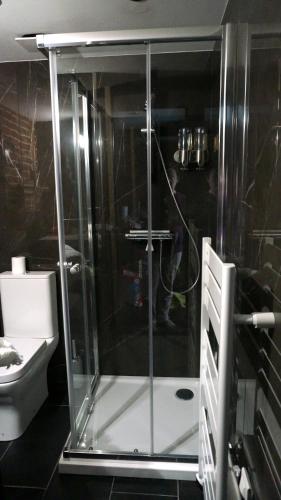 La salle de bains est pourvue d'une douche en verre et de toilettes. dans l'établissement Superbe appartement refait à neuf, plein centre de Lille, à Lille