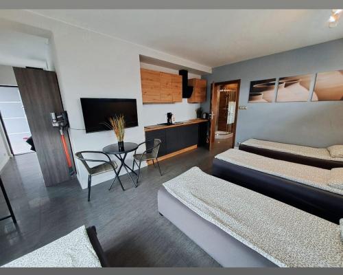 Apartament studio PIANO