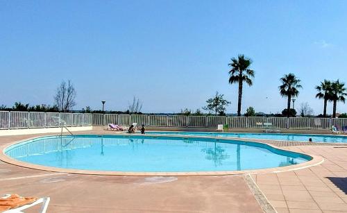 an empty swimming pool with palm trees in the background at Maison cosy au bord du canal, piscine et parking in Béziers