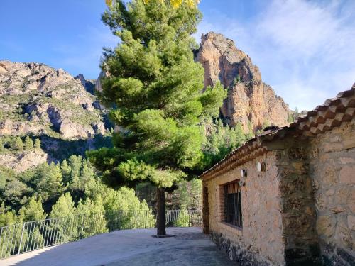 un arbre en face d'un bâtiment avec une montagne dans l'établissement Casas Rurales Mirador del Rio Zumeta, à Santiago de la Espada