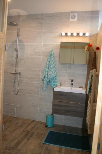 une salle de bain avec douche et lavabo dans l'établissement Calme et tranquillité entre Annecy et Genève, à Vovray-en-Bornes