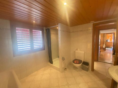 Bilik mandi di AlpenHaus, retreat home