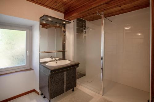 a bathroom with a sink and a shower at Chambres d'hôtes Chez Barbara in Tardets-Sorholus