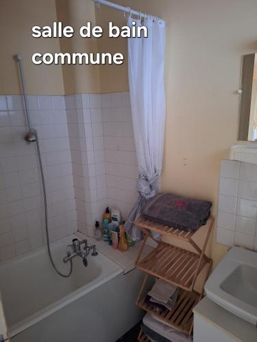 une salle de bain avec un lavabo et une baignoire dans l'établissement Gîte 6 personnes, à La Souterraine