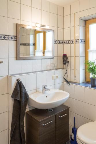 a bathroom with a sink and a mirror and a toilet at Ferienwohnung Rosalie in Westerndorf