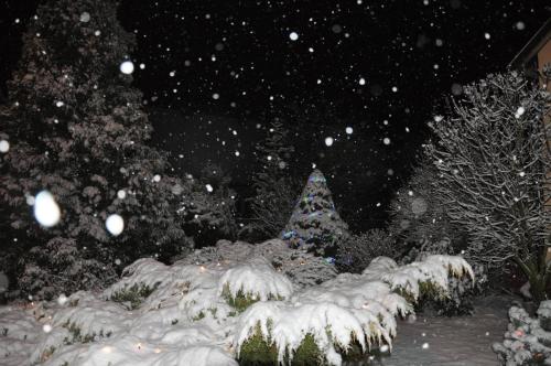 a christmas tree covered in snow in a yard at Noclegi u Agnieszki in Jarnołtówek