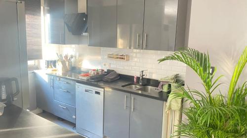 Kép Strelitzyahouse szállásáról Brüsszelben a galériában