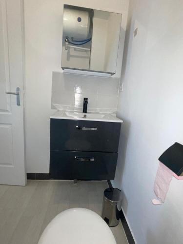 une salle de bain avec un lavabo, des toilettes et un miroir dans l'établissement Studio Hôtel Villeurbanne Centre, à Villeurbanne