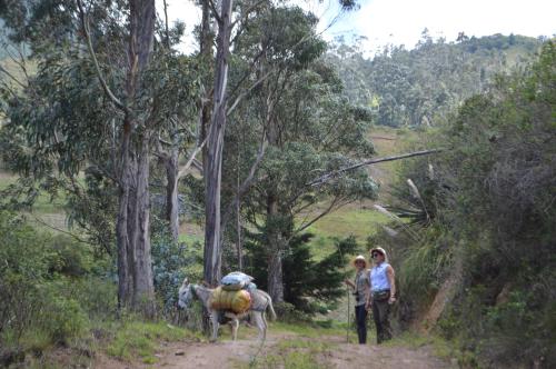 a group of people walking down a dirt road with a horse at Hacienda Gonzabal in Loja