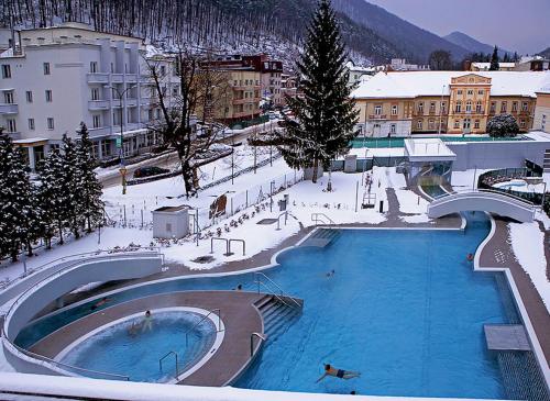 Πισίνα στο ή κοντά στο Kristoff Plaza Trencianske Teplice