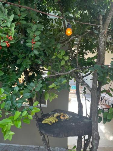 Taman di luar Casa de Praia com Piscina no Pontal do Ipiranga