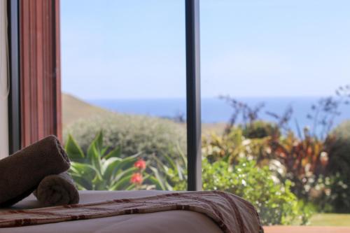 a teddy bear sitting on a bed in front of a window at Raglan Travellers Rest Coastal Retreat in Raglan