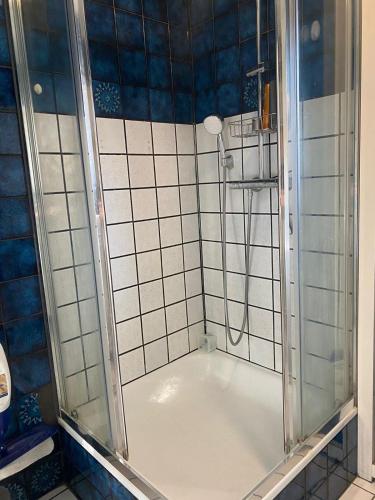 una doccia con una porta in vetro in un bagno di Oskars Cabin a Reykjavik