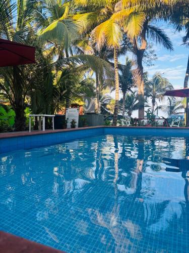 Bazén v ubytování Hotel Rosa de los vientos nebo v jeho okolí