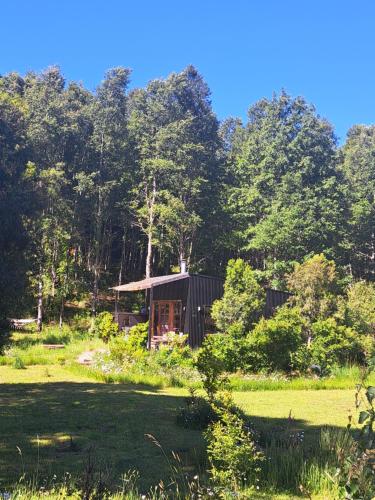 a house in the middle of a field with trees at Cabañas Flamingo in Pucón