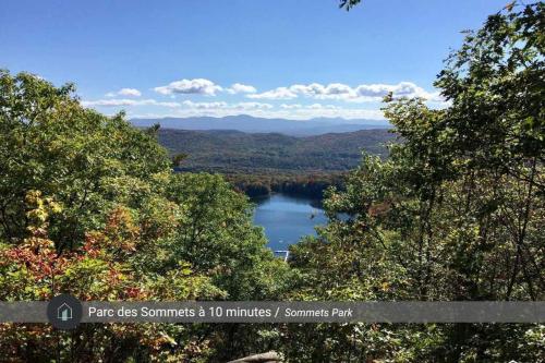 a view of a lake in the middle of trees at Le 10 - Spa Sauna Shower Bromont Lac-Brome in Bromont