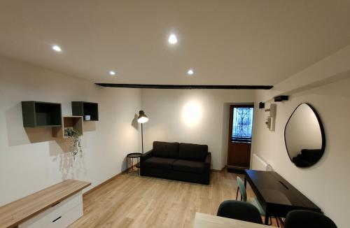 a living room with a black couch and a mirror at Studio cosy centre ville in Besançon