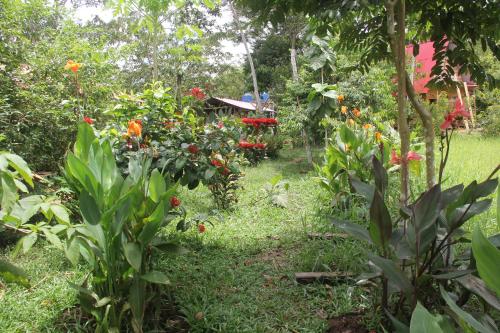 Jardín al aire libre en PuraChata Ecolodge