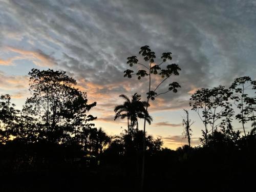 Amanecer o atardecer desde el lodge o alrededores