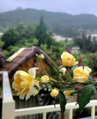a bunch of yellow flowers sitting on a balcony at Triệu đoá hồng-Nhà Xinh Rosé in Ấp Ða Lợi