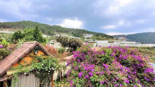 a garden with purple flowers and a house at Triệu đoá hồng-Nhà Xinh Rosé in Ấp Ða Lợi