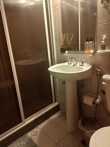 a bathroom with a sink and a shower and a toilet at Alaia in Puerto Madryn