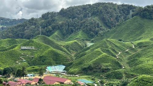 an aerial view of a tea plantation mountain at Sweet Homestay 3RM @ Penthouse Apartment in Brinchang in Brinchang