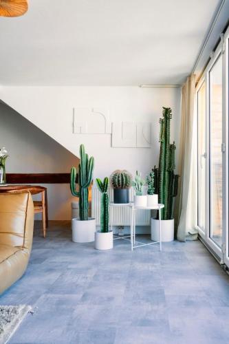 Foto Historic City Center Design Apartments - Schlossberg View 3