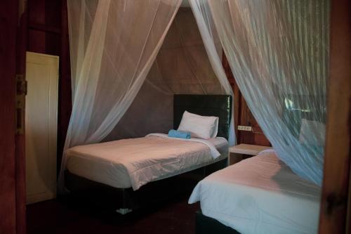 two twin beds in a room with curtains at Besikalung Budget Hostel in Penebel