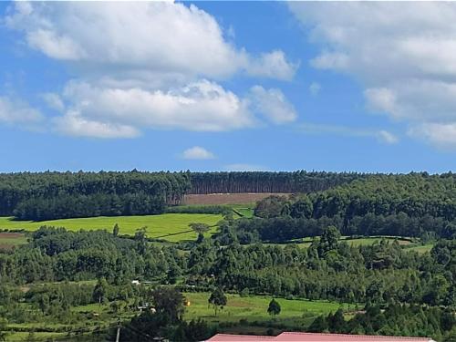 an overhead view of a green field with trees at Zoe Homes Oak Villa Apartment 1 and 2 Bedroom 201 in Kericho