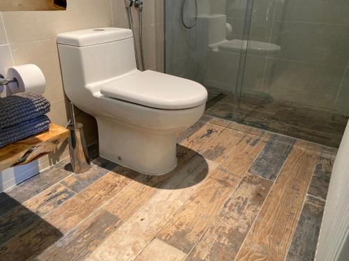 a bathroom with a toilet and a shower at Refugios Australes en Corralco in Malalcahuello