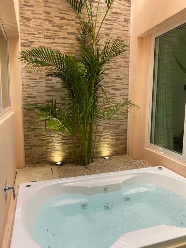 a bath tub with a plant in a bathroom at Porto Regina Suite in Cancún