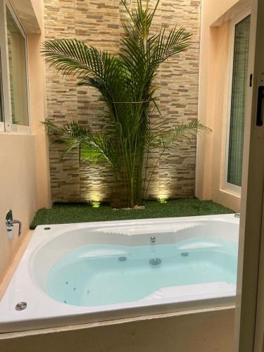 a bath tub with a palm tree in a bathroom at Porto Regina Suite in Cancún