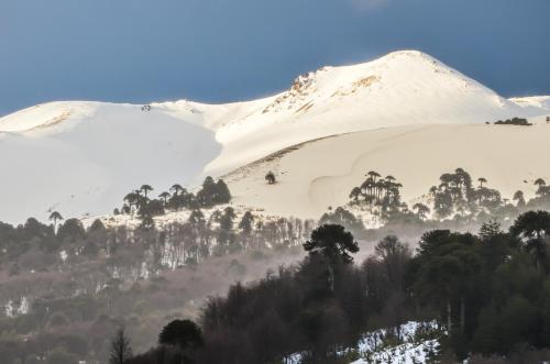 a snowy mountain with trees in the foreground at Refugios Australes en Corralco in Malalcahuello