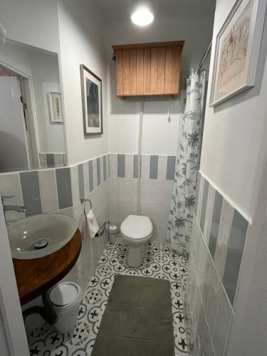 伊斯坦布尔Levant Pension de Luxe的带水槽和马桶的小浴室