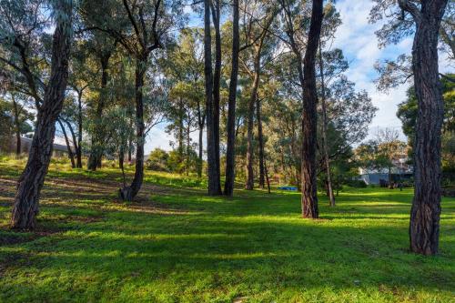 a park with trees in the grass at Relaxing 3bd in tranquil setting in Bendigo