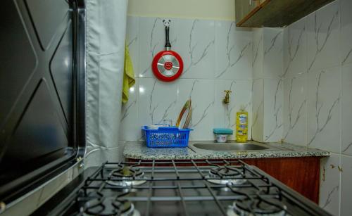 Il comprend une cuisine équipée d'une cuisinière. four supérieur à côté d'un évier dans l'établissement Turquoise Studio with Netflix & WIFI, à Nanyuki