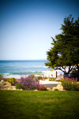 a view of the ocean with a tree and flowers at Cambria Shores Inn in Cambria