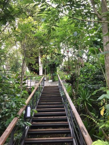 a set of stairs in a forest with trees at green slope villa glamping in Gitgit